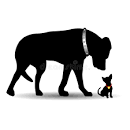 canine corp silhouette